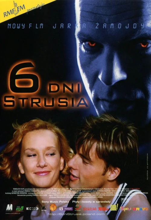 Plakat: 6 dni strusia