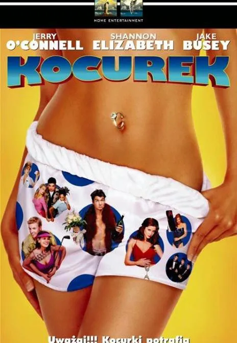 Plakat: Kocurek