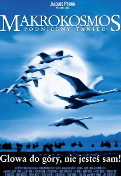 Plakat: Makrokosmos