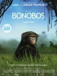 Plakat: Bonobos