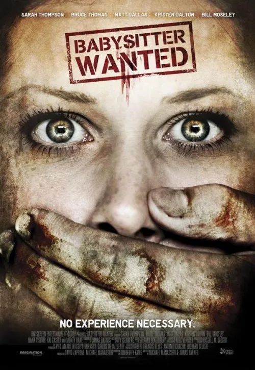 Plakat: Babysitter Wanted