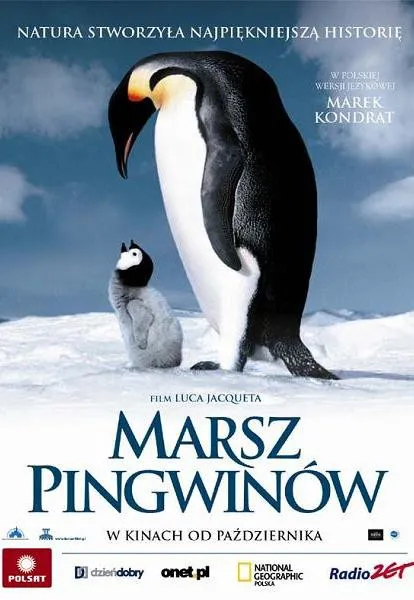 Plakat: Marsz pingwinów