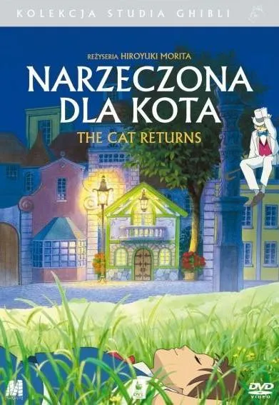 Plakat: Narzeczona dla kota
