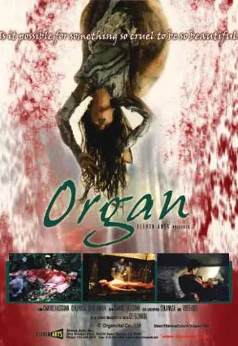Plakat: Organ