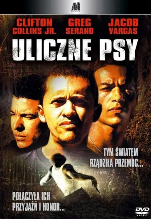 Plakat: Uliczne psy