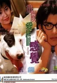 Plakat: Zhong qing ai qing gan jue