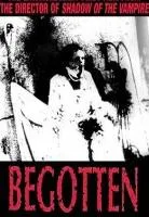 Plakat: Begotten