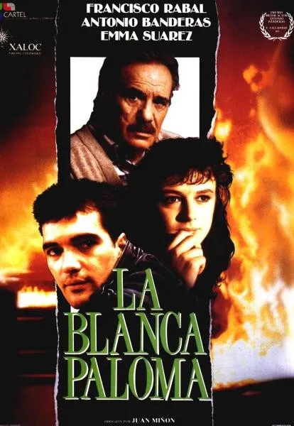 Plakat: Biała gołębica