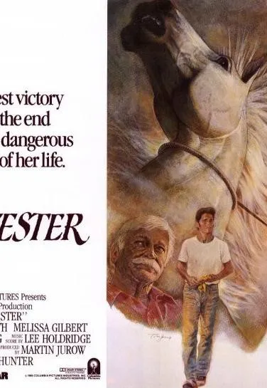 Plakat: Sylvester