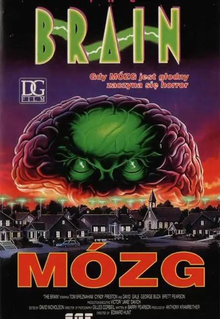 Plakat: Mózg