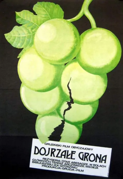 Plakat: Dojrzałe grona