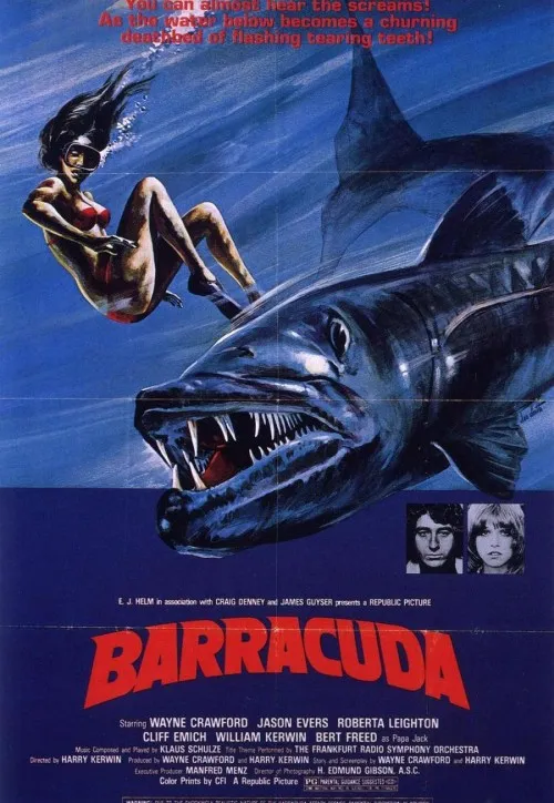 Plakat: Barracuda