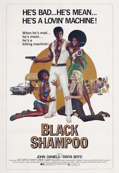 Plakat: Black Shampoo