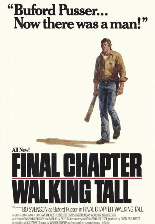 Plakat: Final Chapter: Walking Tall
