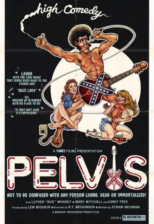 Plakat: Pelvis