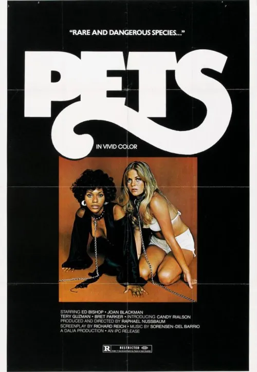 Plakat: Pets
