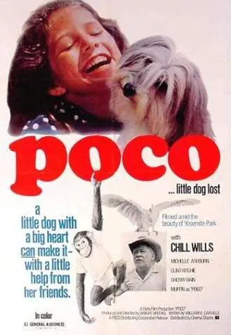 Plakat: Poco... Little Dog Lost
