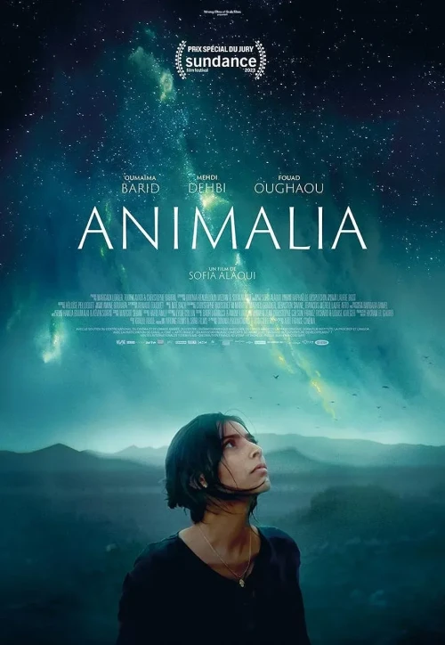 Plakat: Animalia