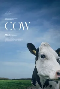 Plakat: Krowa