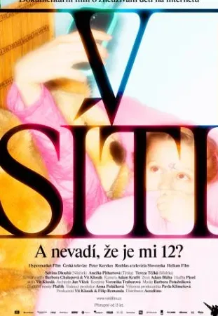 Plakat: Złapani w sieci