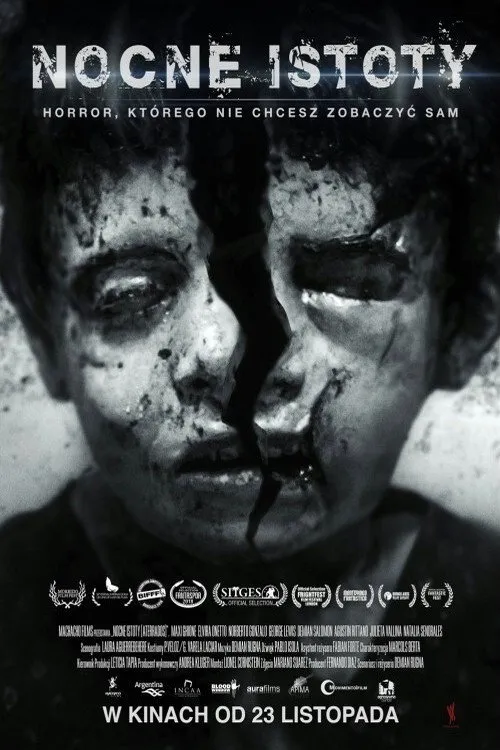 Plakat filmu Terrified