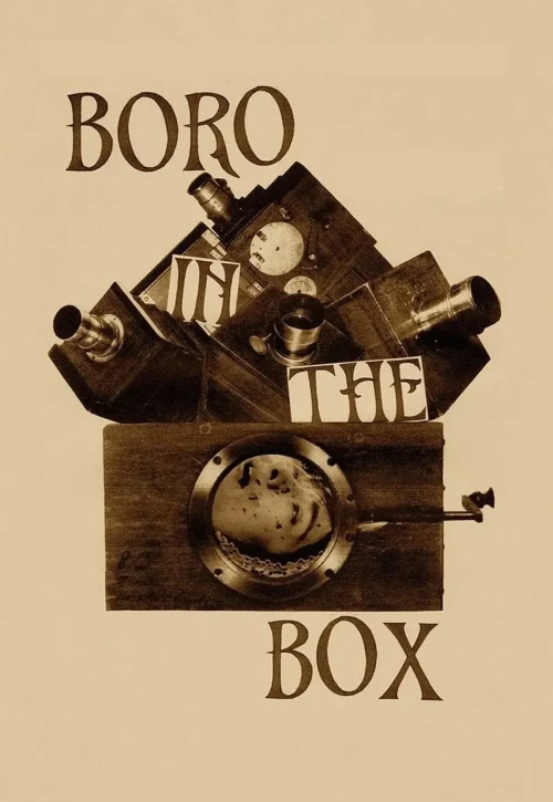 Plakat: Boro in the Box