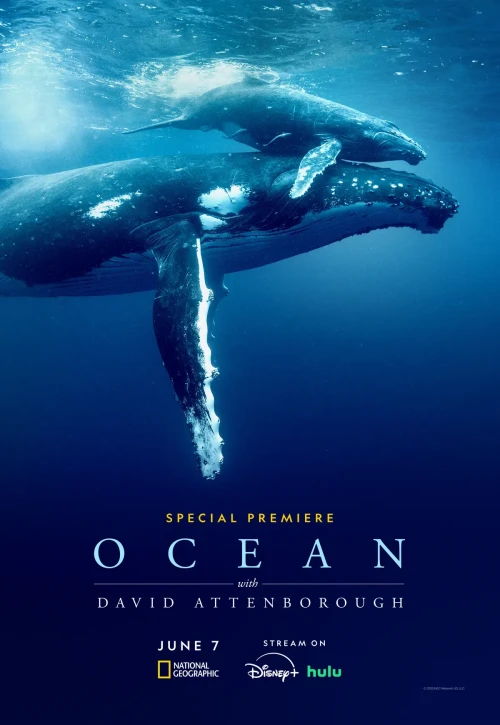 Plakat: David Attenborough: Świat oceanów