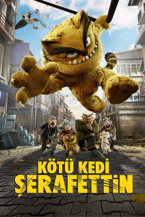 Plakat: Kocur