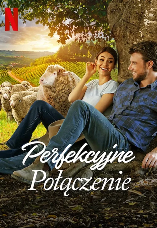 Plakat: Perfekcyjne połączenie