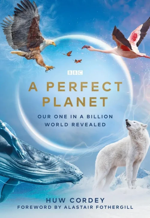 Plakat: Planeta doskonała