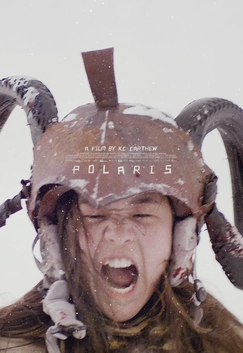 Plakat: Polaris