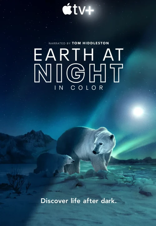 Plakat: Ziemia w nocnych barwach