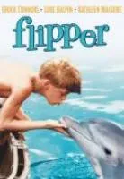 Plakat: Mój przyjaciel delfin