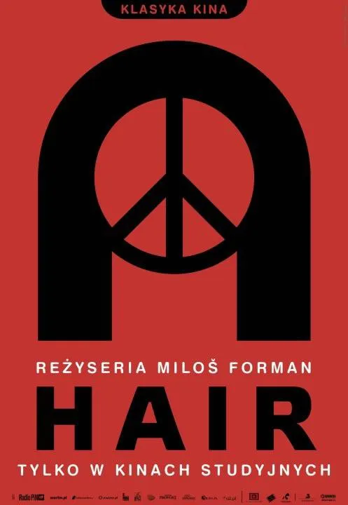 Plakat: Hair