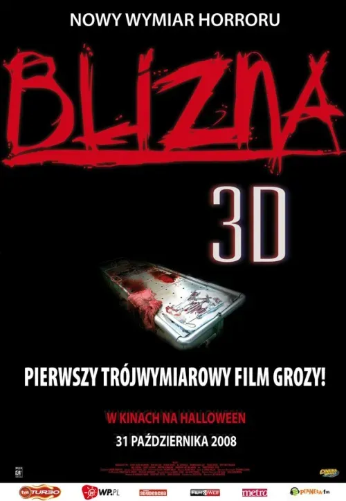 Plakat: Blizna 3D