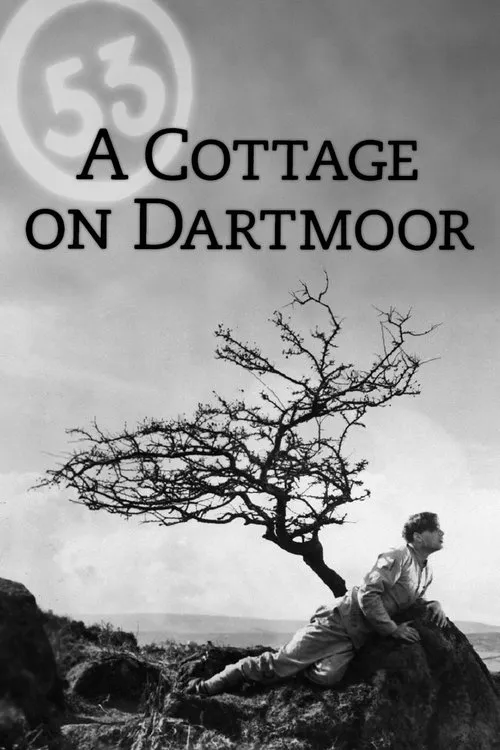 Plakat: A Cottage on Dartmoor