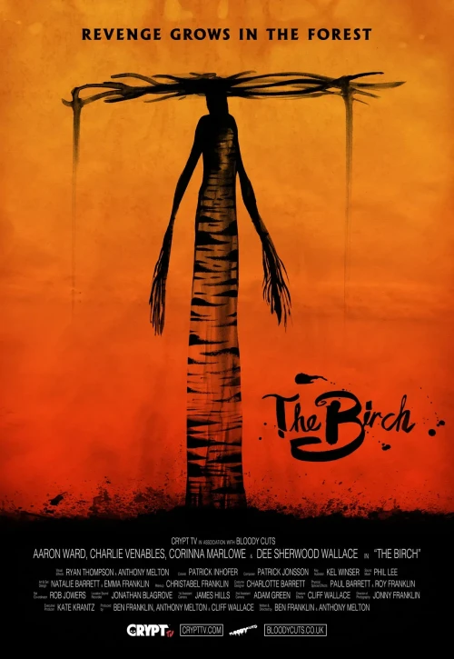 Plakat: Brzoza