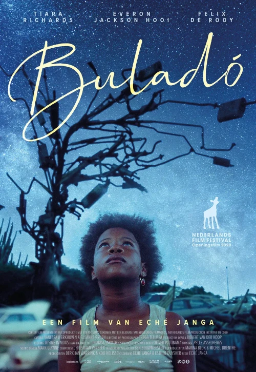 Plakat: Buladó