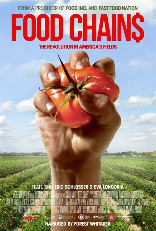 Plakat: Food Chains