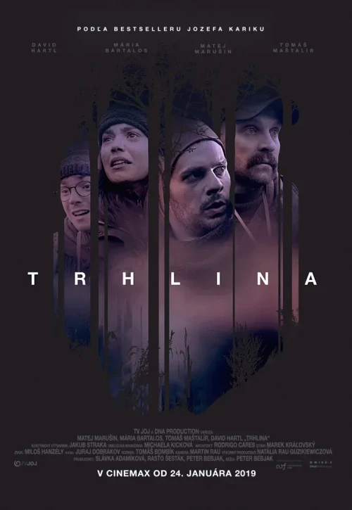Plakat: Szczelina