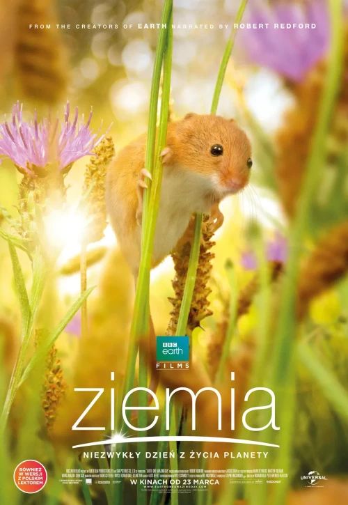 Plakat: Ziemia. Niezwykły dzień z życia planety