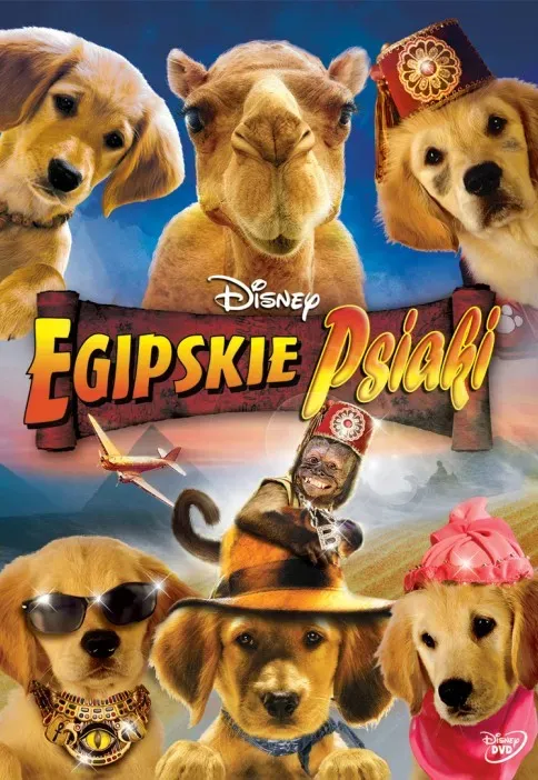 Plakat: Egipskie psiaki