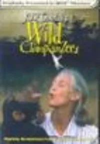 Plakat: Jane Goodall's Wild Chimpanzees
