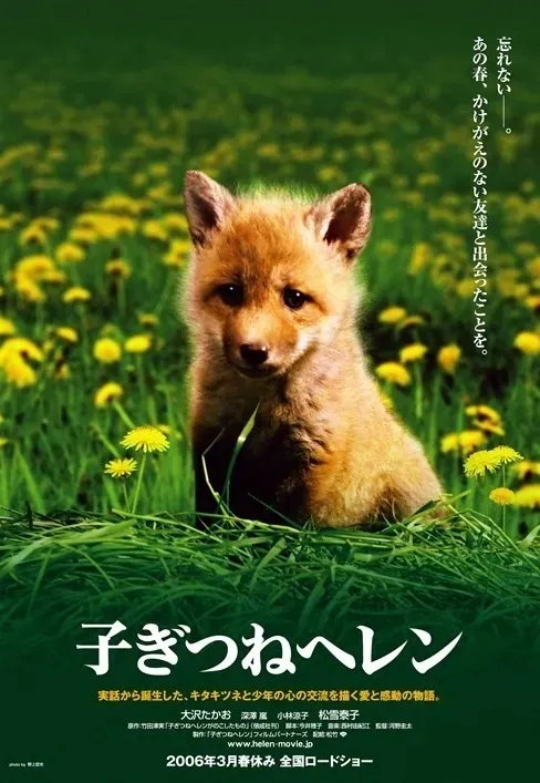 Plakat: Lisiczka