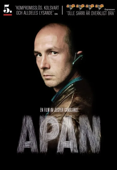 Plakat: Małpy