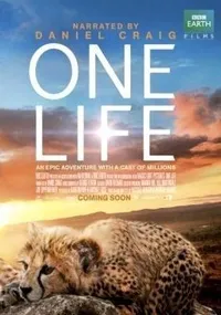 Plakat: One Life