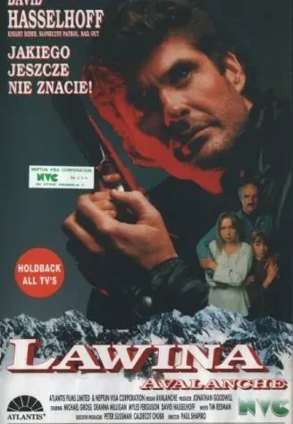 Plakat: Lawina