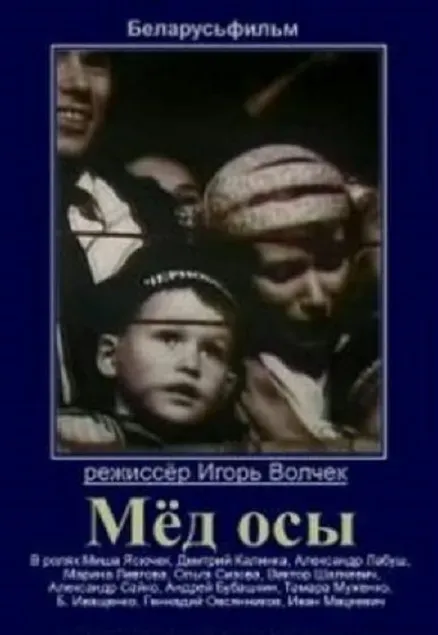 Plakat: Med osy