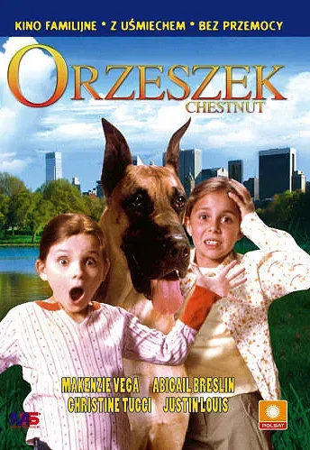 Plakat: Orzeszek