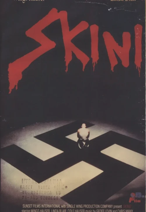 Plakat: Skini